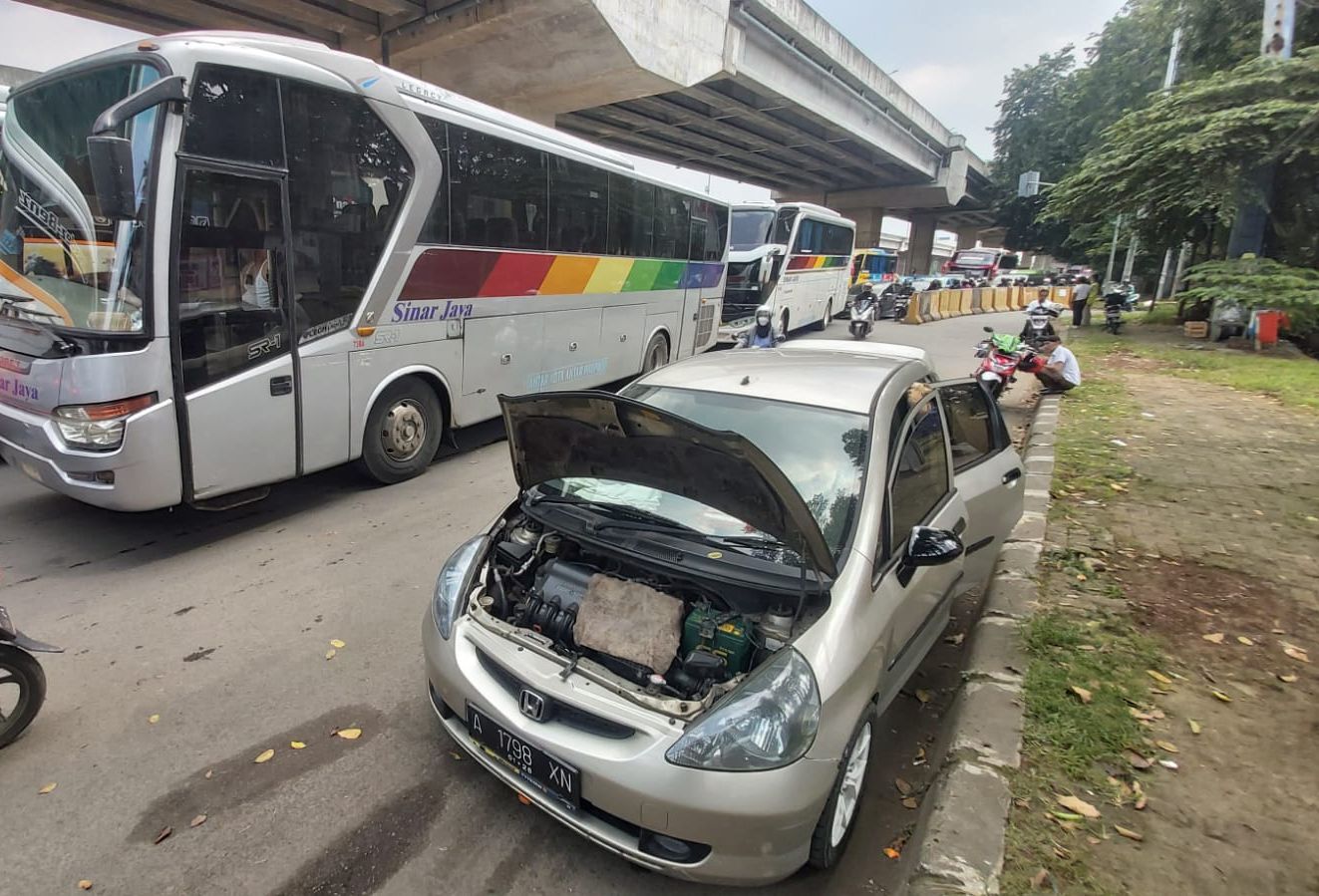 Perhatian! Semut Dapat Menghentikan Mobil Anda, Inilah Bagian yang Rentan Serangan