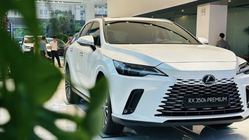 Lexus RX 350h 2025 Diperkenalkan di Vietnam: SUV Hybrid yang Menggabungkan Kemewahan dan Teknologi Canggih